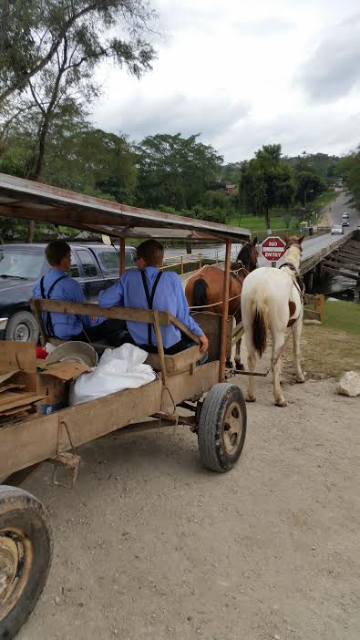 Pictured here are two Mennonite lads parked at the no-entry side of the one-way, plank bridge over the Macal River that is the one and only bridge into San Ignacio and the rest of Western Belize. So why did the boys wait more than 0 minutes (I was sitting by the river and time it) to cross the one-way bridge the wrong way?